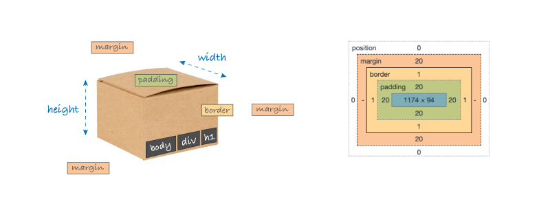 Box model