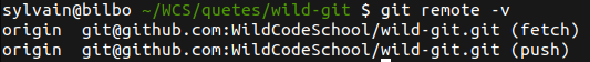 git remote -v