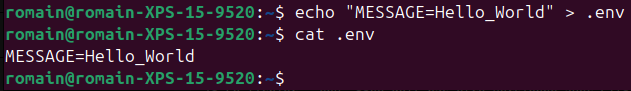 cat .env