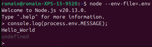 console.log(process.env.MESSAGE)