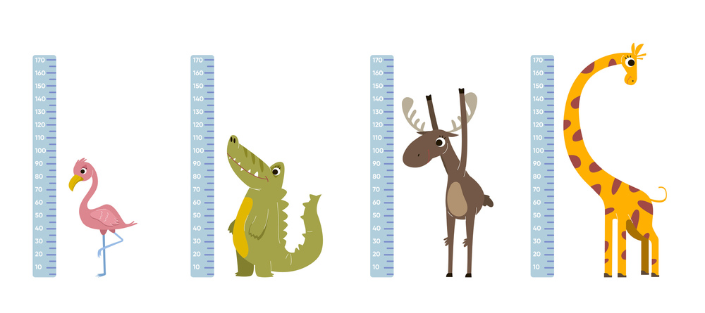 animal sizes